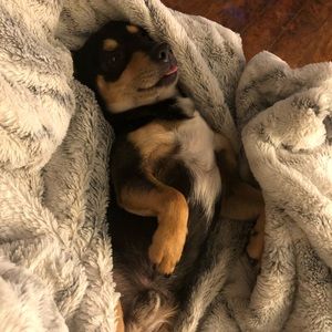 Meet your Posher, Nancy